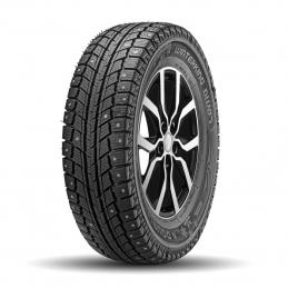 Doublestar Winterking DW07 205/55R16 91T