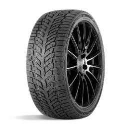 Doublestar Winterking DW08 195/55R16 87H